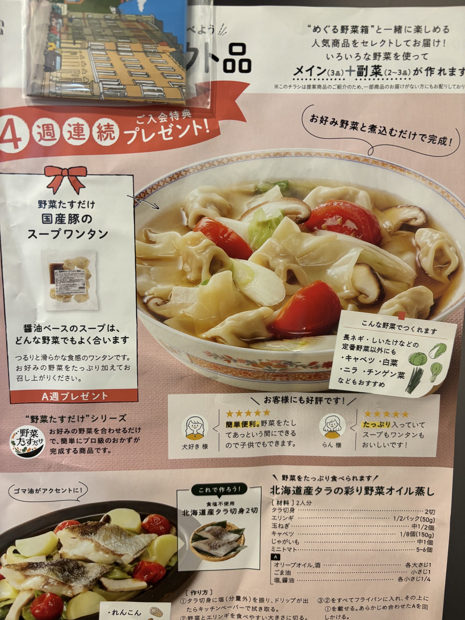 国産豚のスープワンタン 野菜